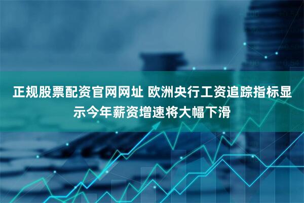 正规股票配资官网网址 欧洲央行工资追踪指标显示今年薪资增速将大幅下滑