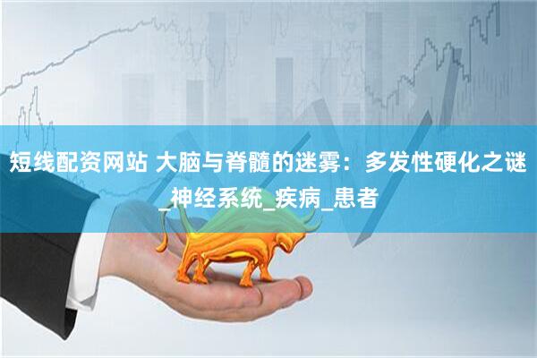 短线配资网站 大脑与脊髓的迷雾：多发性硬化之谜_神经系统_疾病_患者