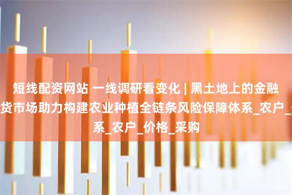 短线配资网站 一线调研看变化 | 黑土地上的金融智慧——期货市场助力构建农业种植全链条风险保障体系_农户_价格_采购