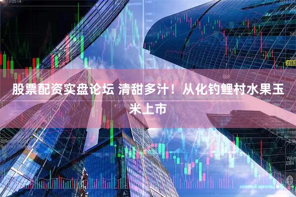 股票配资实盘论坛 清甜多汁！从化钓鲤村水果玉米上市